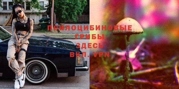 соль курить ск Белокуриха
