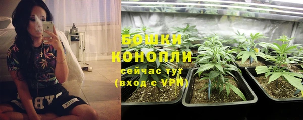 соль курить ск Белокуриха