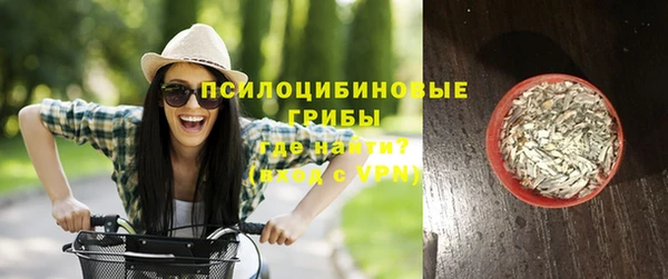 соль курить ск Белокуриха