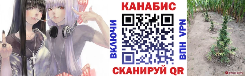 Конопля план  Вяземский 